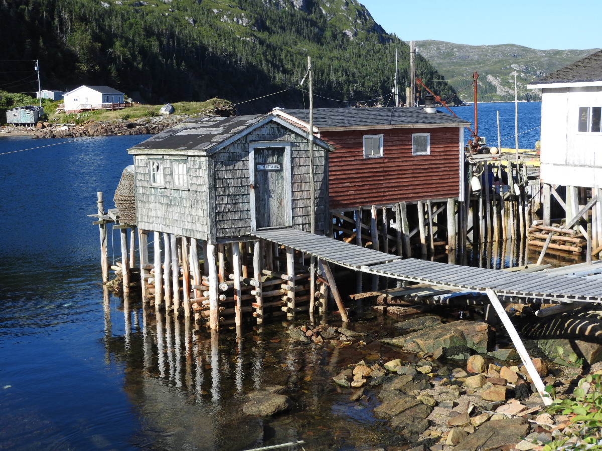 Harbour Le Cou Granite Coast Bob S Newfoundland