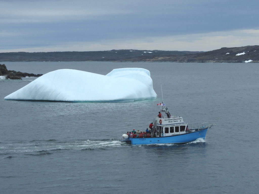 northland discovery boat tours st anthony nl