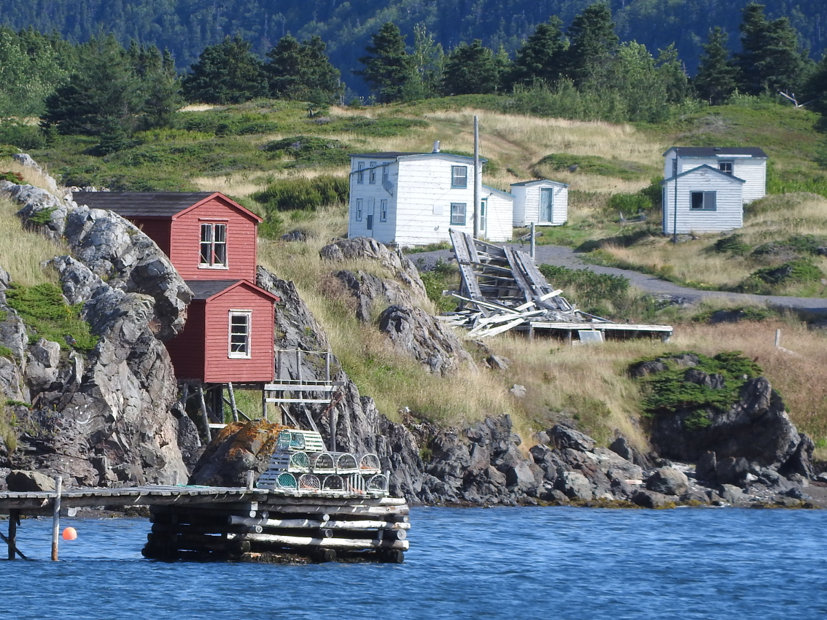 Land For Sale Bonavista Nl at Manda Salazar blog