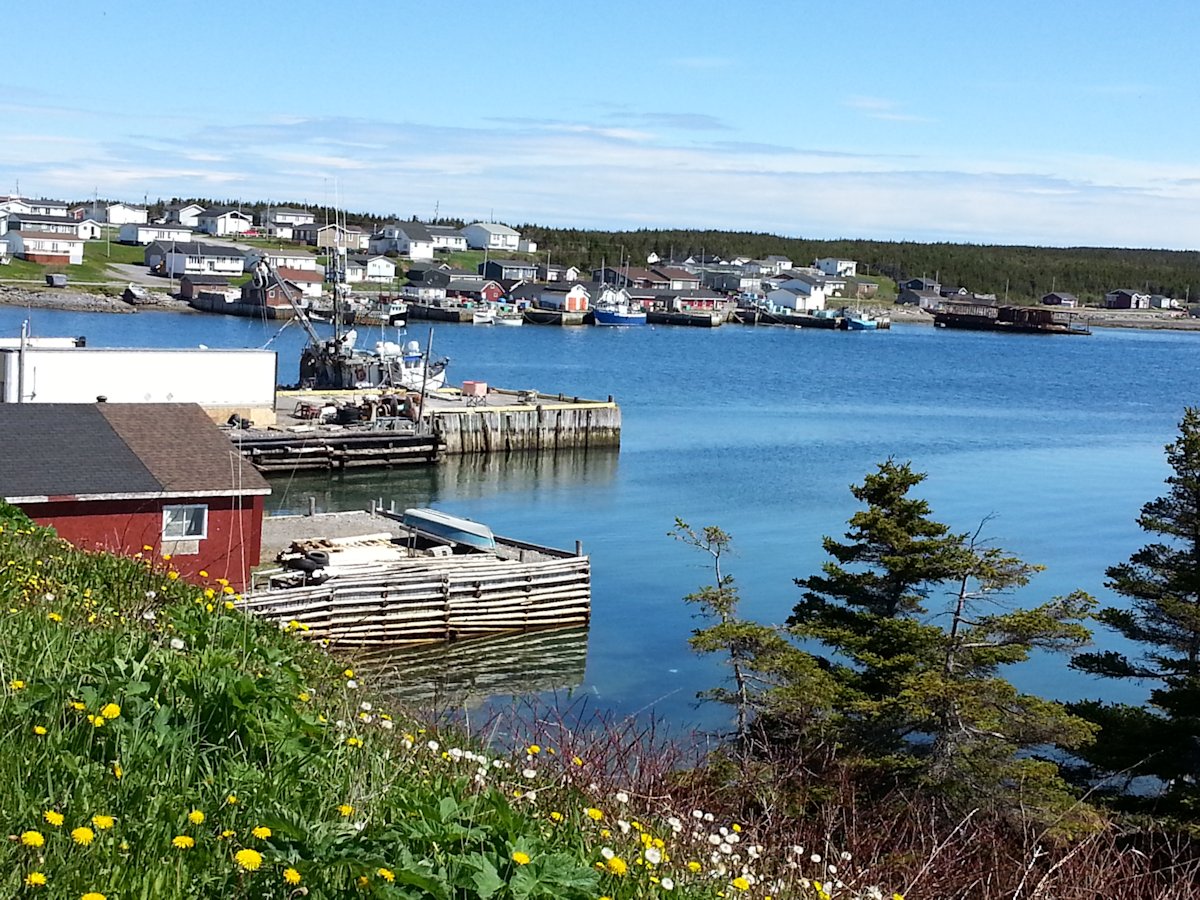 tourism northern peninsula nl