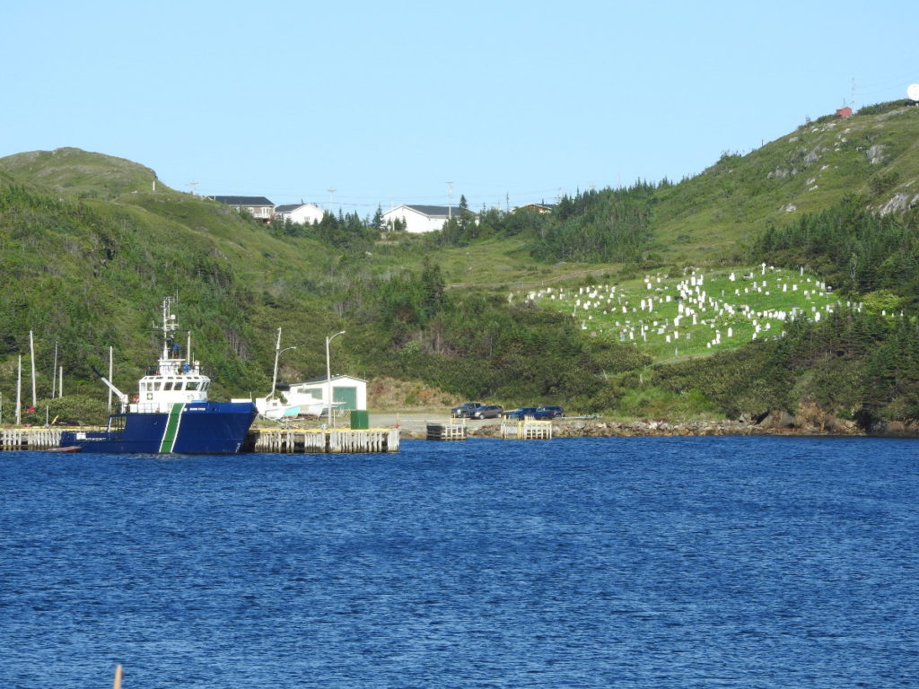 Diamond Cove, NL | Rose Blanche | Bob's Newfoundland