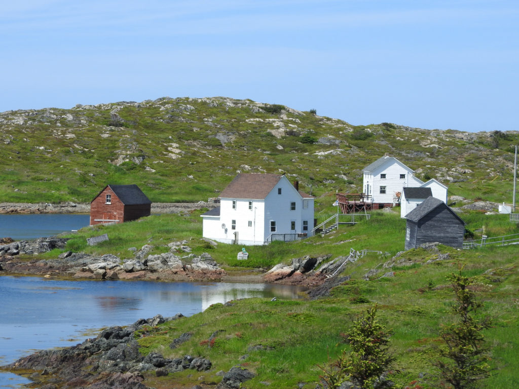 New World Island | Tourist Information | Bob's Newfoundland