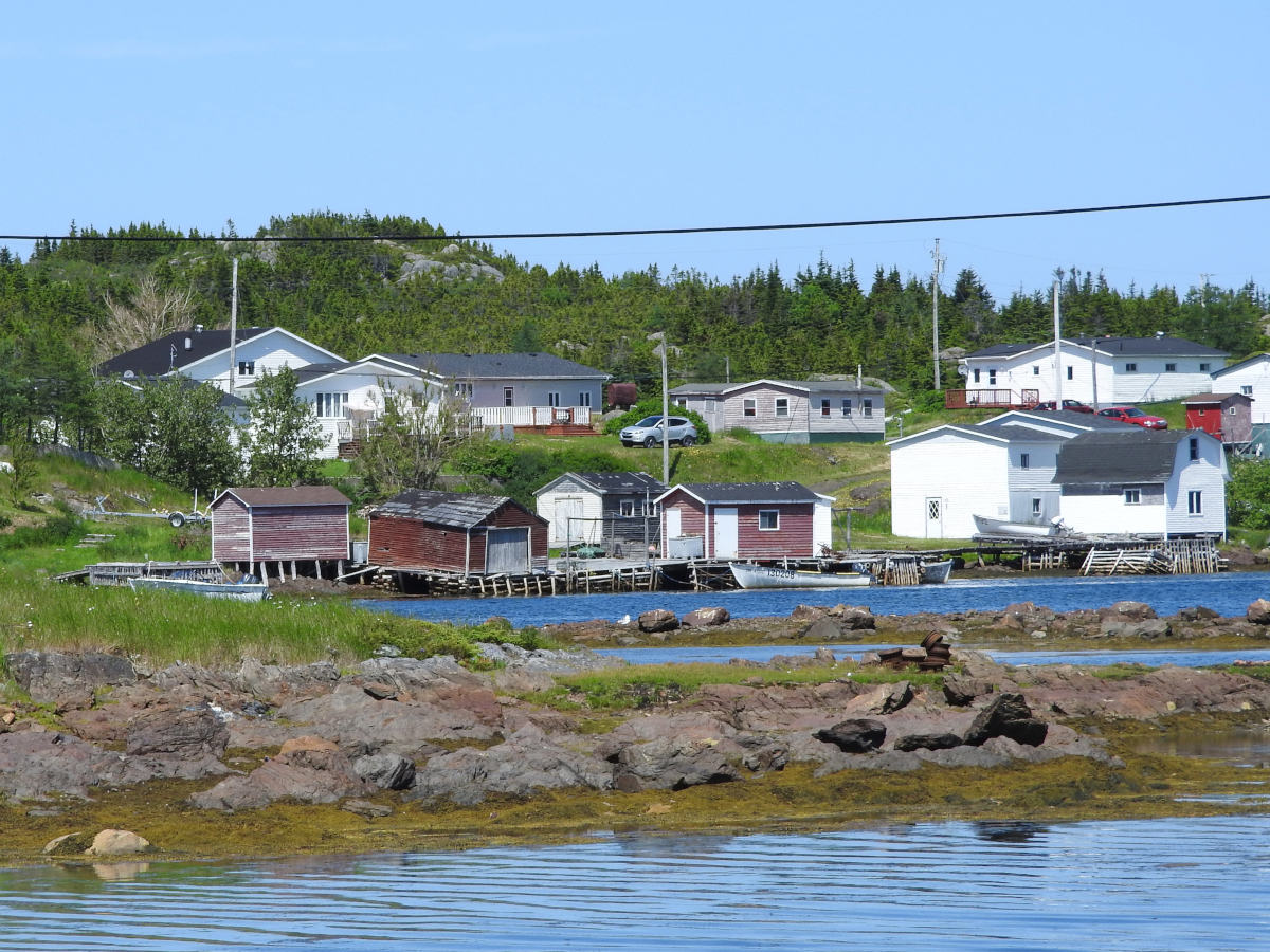 Toogood Arm, NL | New World Island | Bob's Newfoundland